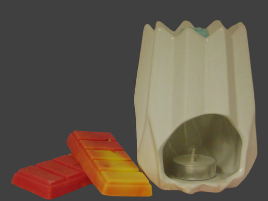 Modern Tulip Ceramic Wax Warmer